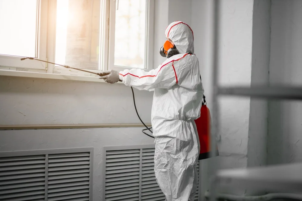 Professional mold remediation services in Hanover, CT